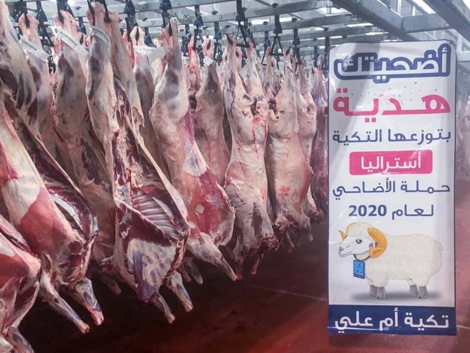 Aus Adahi meat Distribution 2020